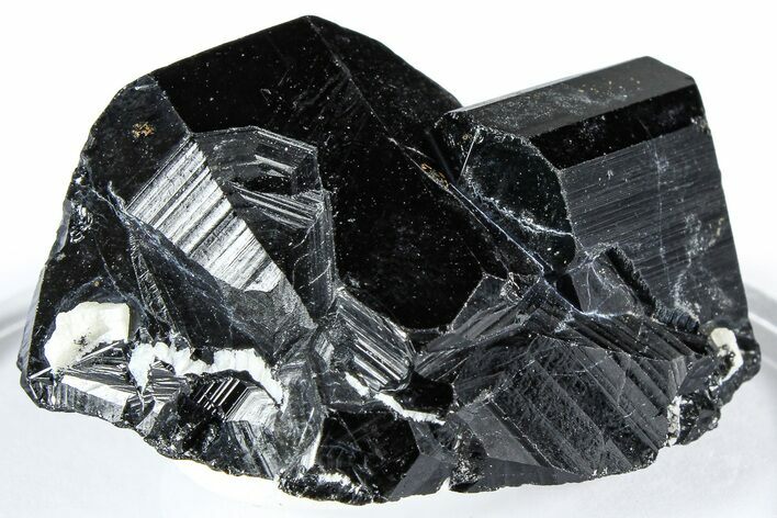 Lustrous Black Tourmaline (Schorl) Crystal Cluster - Namibia #361681